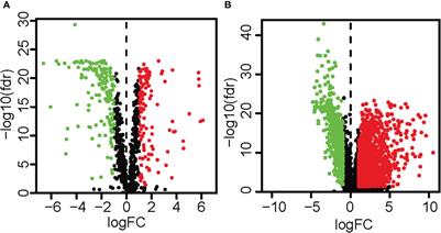 Construction of a prognostic model of colon cancer patients based on metabolism-related lncRNAs